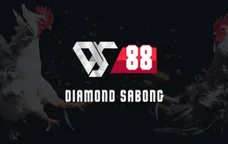 Diamond Sabong Ds88